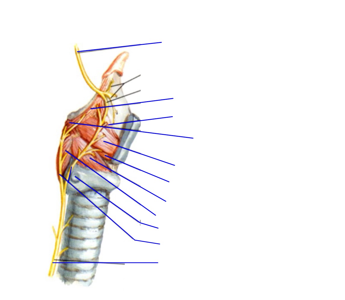 <p>Légender</p>