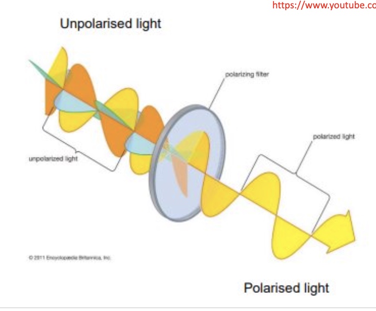 <ul><li><p>light that consists of vibrating electric + magnetic fields </p></li><li><p>waves that have vibrations occurring at right angles to the direction of motion </p></li><li><p>pass the light through a special filter, then we get all vibrations removed except one </p></li></ul><p></p>