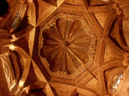 <p>What is this?</p>