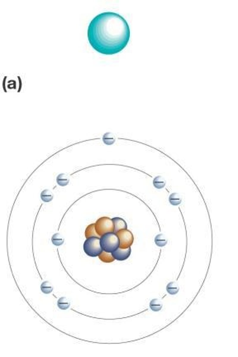 <p>Neutrons, protons, and electrons</p>