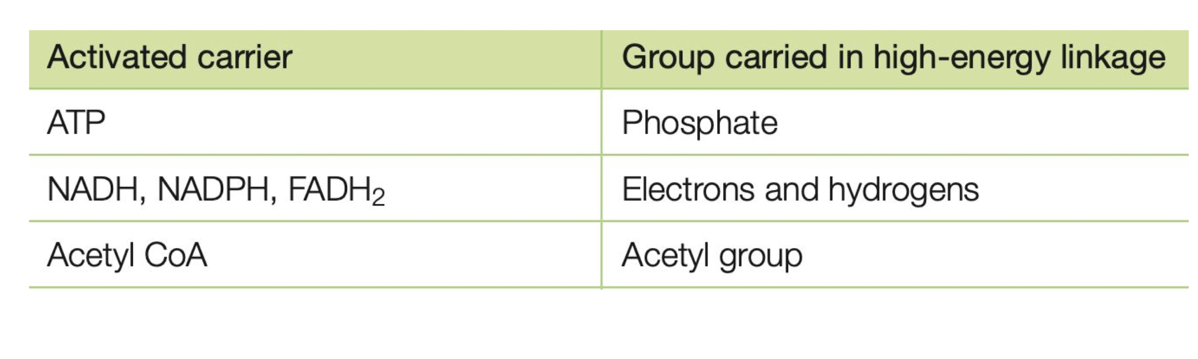 <ol><li><p>ATP</p></li><li><p>NADH</p></li><li><p>NADPH</p></li><li><p>Acetyl CoA</p></li><li><p>FADH2</p></li></ol>