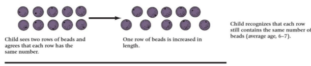 <ul><li><p>Child sees two rows of beads and agrees that each row has the same number.</p></li><li><p>One row of beads is increased in length.</p></li><li><p>Child recognizes that each row still contains the same number of beads (average age, 6-7).</p></li><li><p>Lack of Success on Conservation Tasks Illustrates Centration in the Preoperational Period</p></li></ul><p></p>
