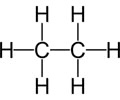 <p>C H O<br>High amount of C-H</p>