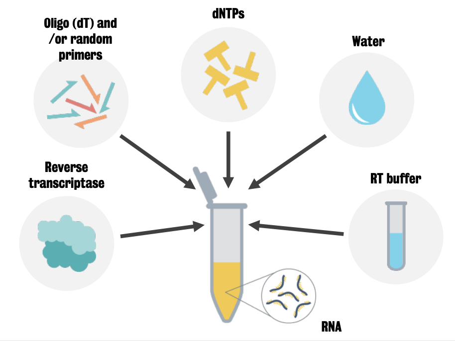 Requirements for RT process