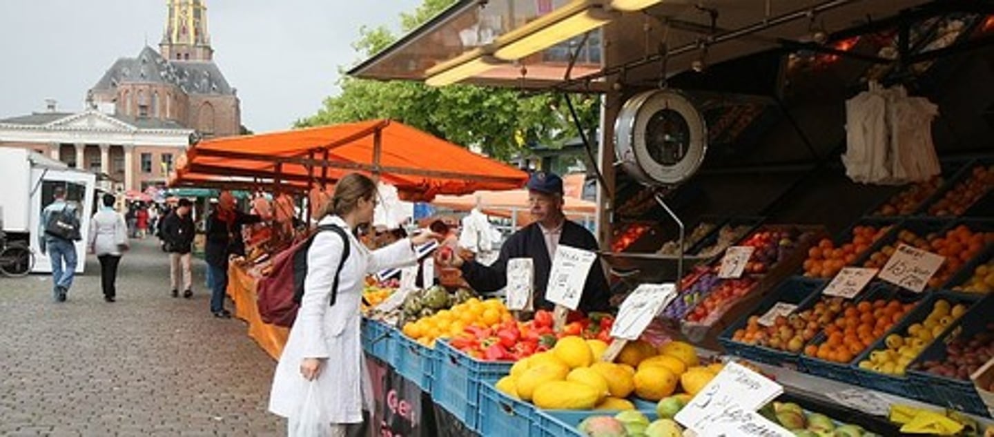 <p>auf den Markt kommen</p>