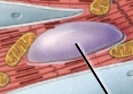 <p>What does the pointer point to?</p>