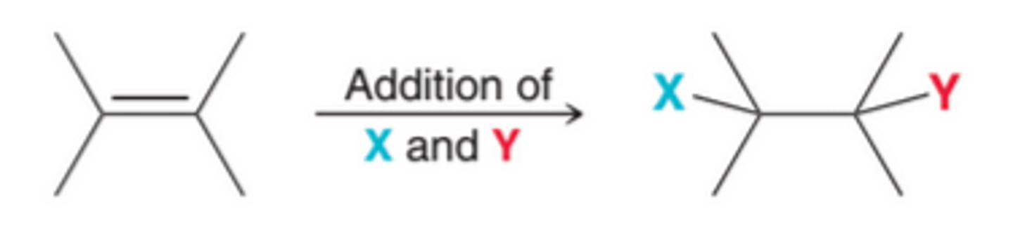 <p>Common reactions of alkenes, characterized by the addition of two groups across a double bond. In the process, the pi bond is broken</p>