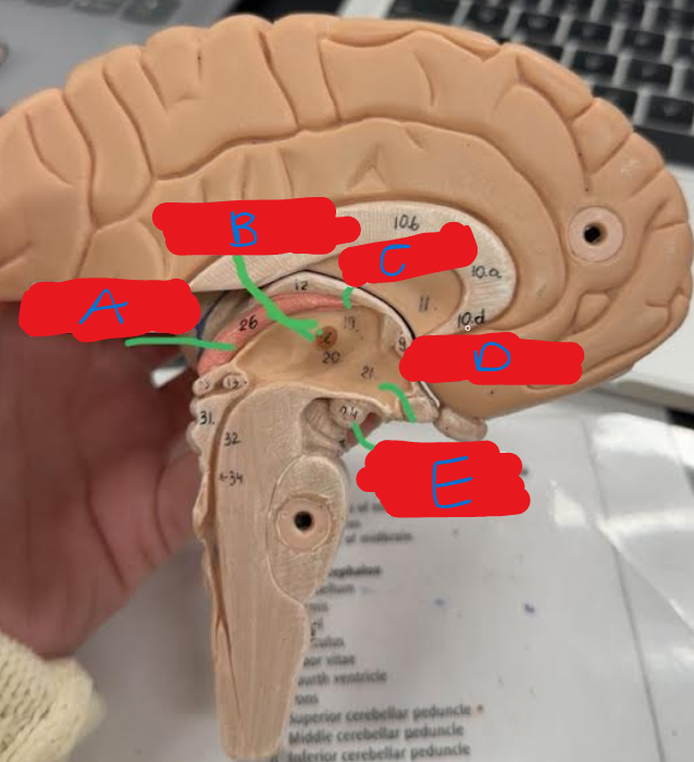 <p>What is E?</p>