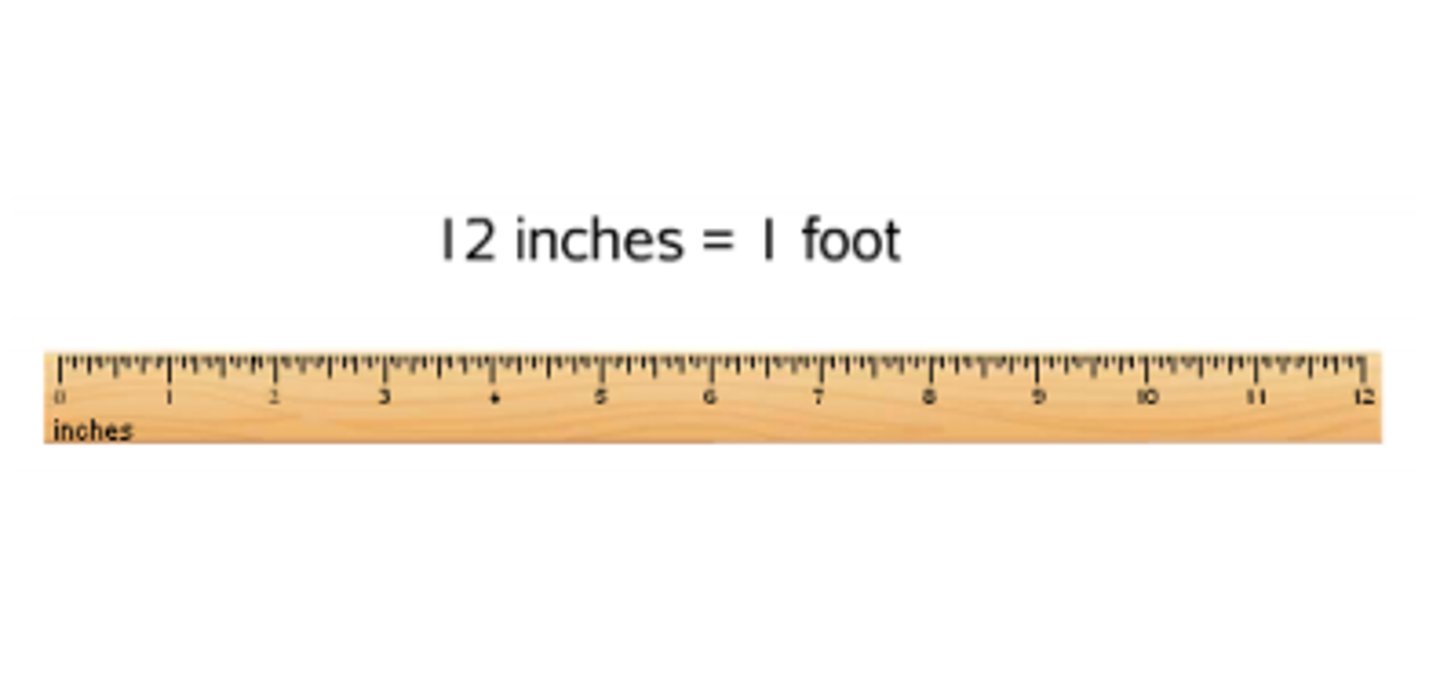<p>1 foot = 12 inches</p>