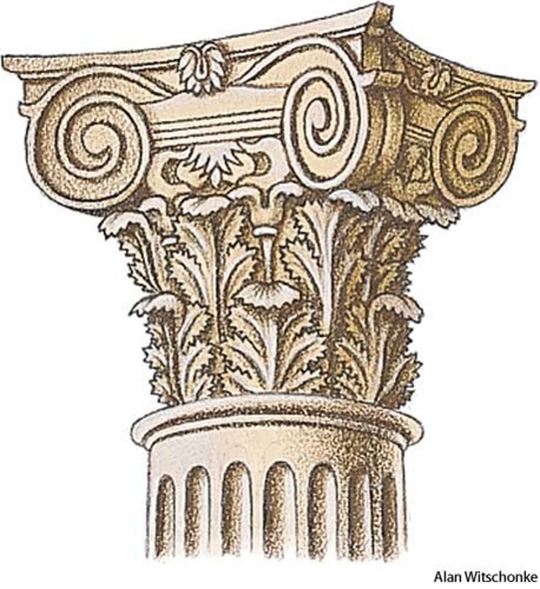 <p>a Roman order that combines the Corinthian acanthus leaves with the spiral scrolls of the Ionic order. was the most commonly used style in Rome.</p>
