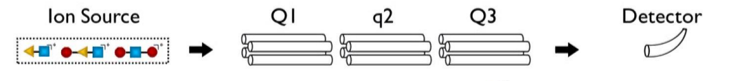 <p>for these general steps</p><p>selective reaction monitoring - what is allowed through Q1? what is q2? what does Q3 do?</p><p>what is chromatogram and mass spec and what does it show?</p>