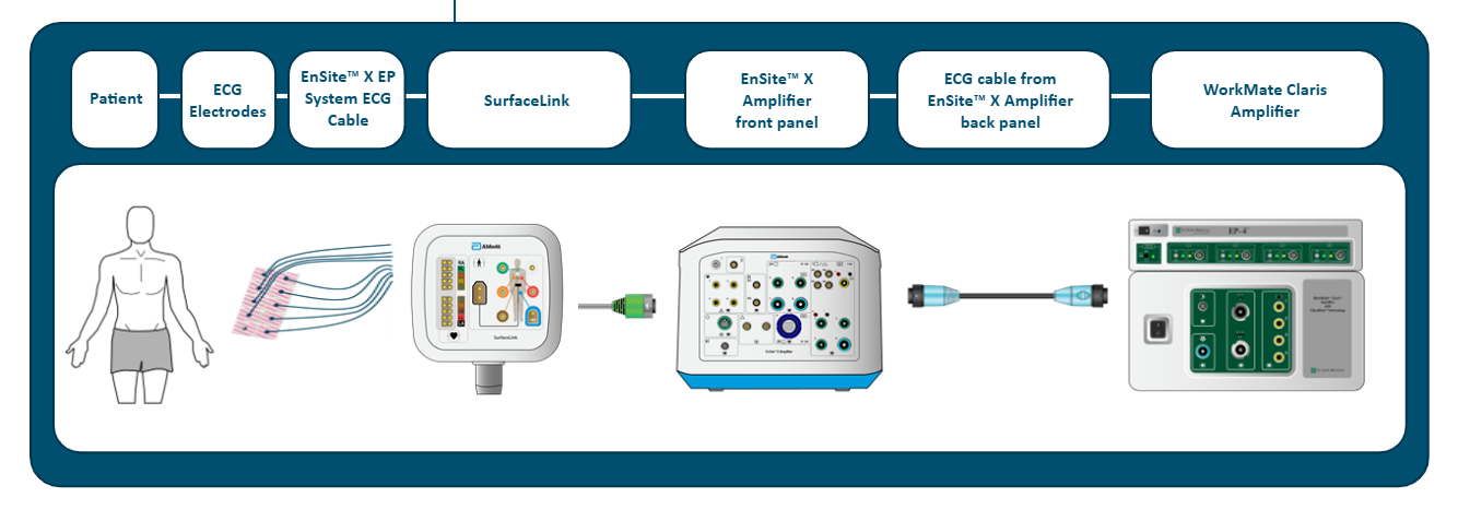 <p>Patient → ECG electrodes → EnSite X EP System ECG Cable → SurfaceLink module → SurfaceLink Port on front panel of Ensite X Amplifier → Light Blue Bank on back panel of Ensite X Amplifier → Claris amplifier</p>