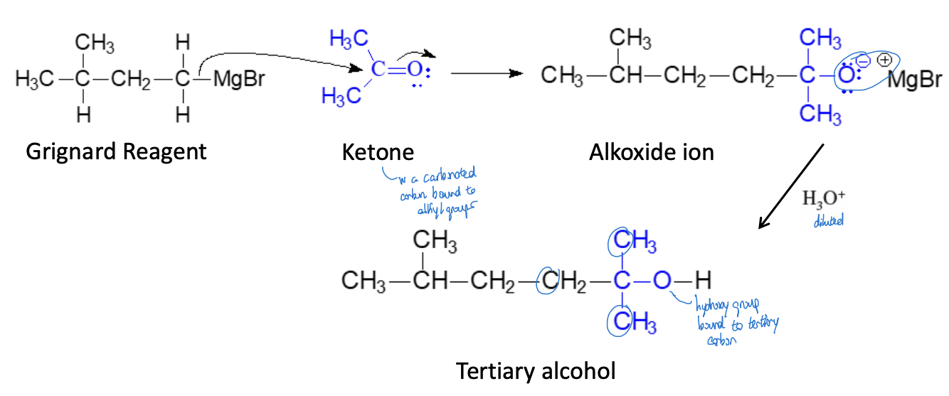<p>Synthesis of 3° Alcohols (Single Addition) Reaction</p>