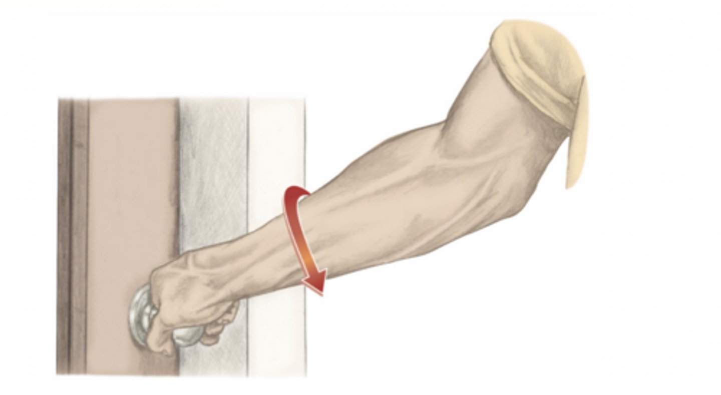 <p>please identify the movement and its location</p>