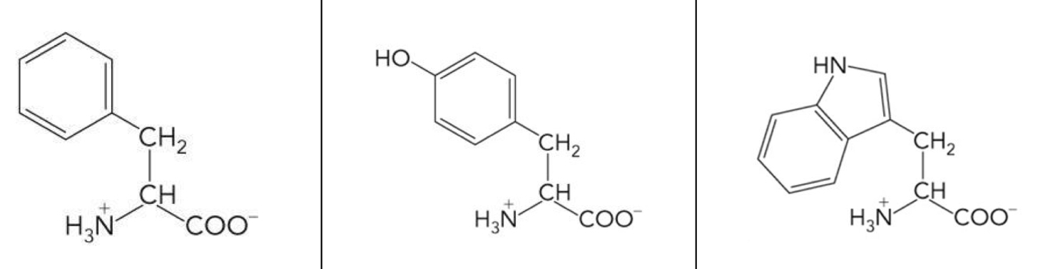 <p>What amino acid is this? 3-letter code? Characteristics? (Left to right)</p>