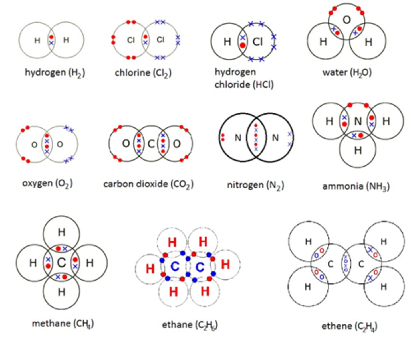 knowt flashcard image