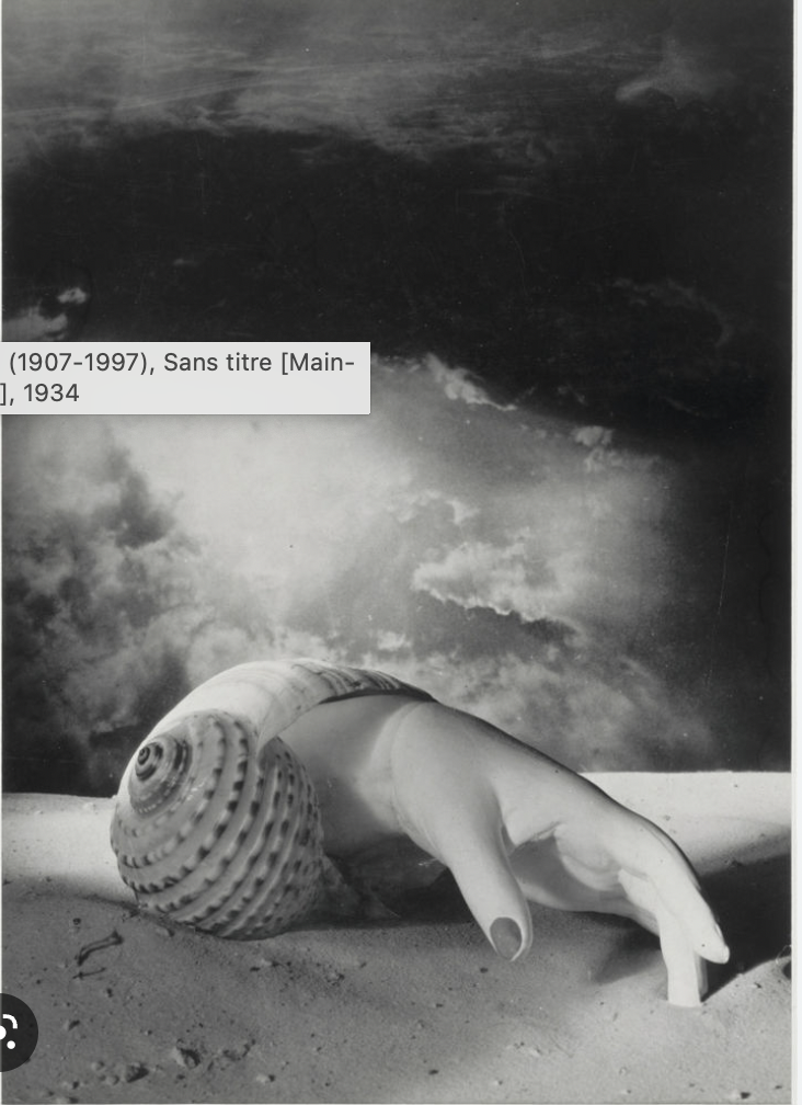 Dora Maar,  (main-coquillage)