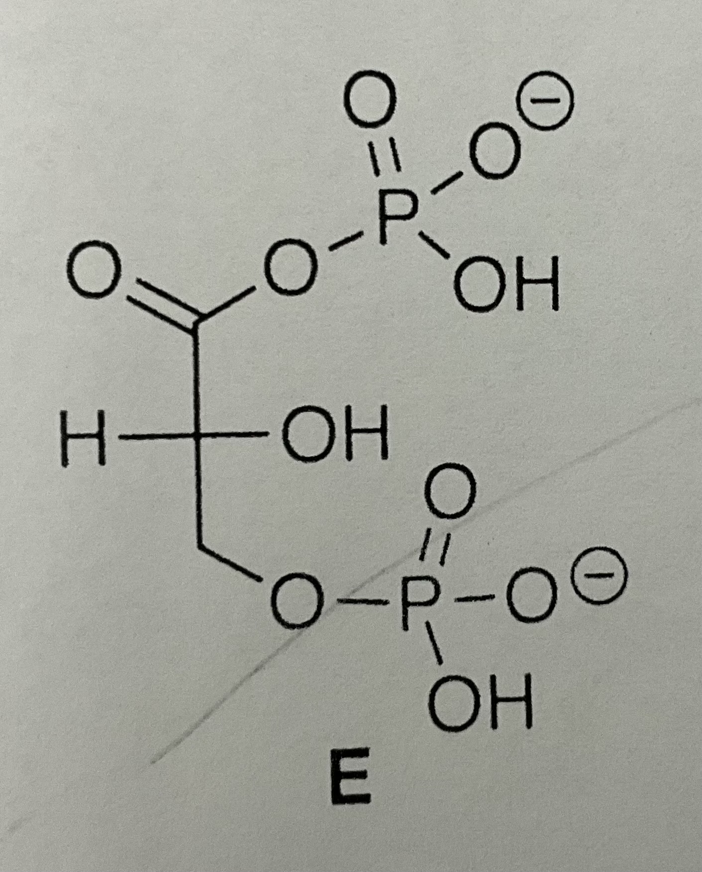 <p>1,3-Diphosphoglycerate</p>