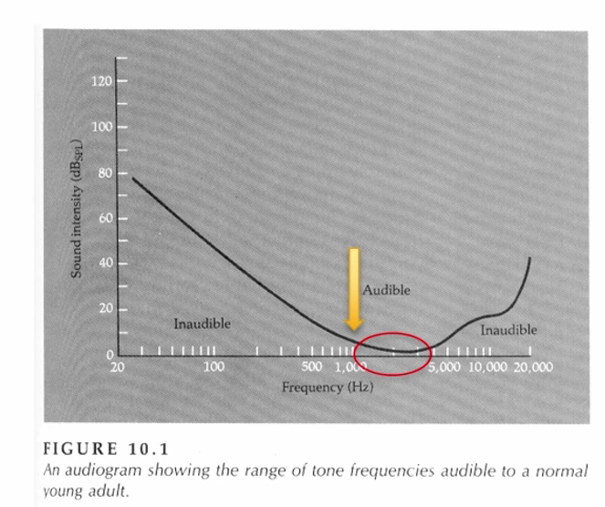 <p>hoeveel energie (dB) een geluid moet hebben zodat het net hoorbaar is. <br><br>Voor een gezond persoon ligt de drempel bij <u>1000Hz</u> → daarom is dit gelijkgesteld aan 0dB. Als je een toon met een veel hogere/lagere toonhoogte (Hz) wil horen, moet je het geluidsvolume (dB) hoger maken.&nbsp;<br><br><u>Mensen&nbsp;zijn het gevoeligst voor geluiden tussen 1000-4000 Hz</u>. Spreken valt binnen deze toonhoogtes → het menselijk gehoor is dus afgestemd om spraak te verstaan<br><br>Met de leeftijd verlies je de hogere tonen (frequenties).</p>