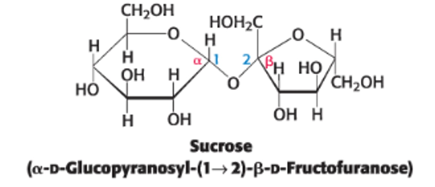 <p>anomeric carbon of glucose is linked to the anomeric carbon of fructose</p>
