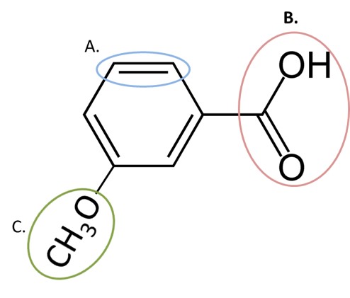 <p>Given the structure below, match the letter of the functional group with the type of metabolic reaction likely to occur at that site.</p><ol><li><p>Glucuronidation</p></li><li><p>O-dealkylation by P450</p></li><li><p>Epoxidation by P450</p></li></ol>