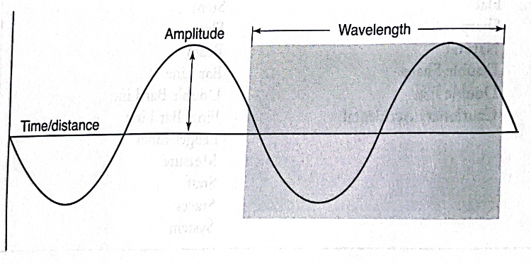 <p>The length of the wave. It determines the loudness of the sound.</p>