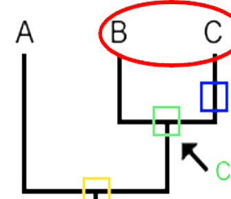 <p>What does the yellow box represent</p>