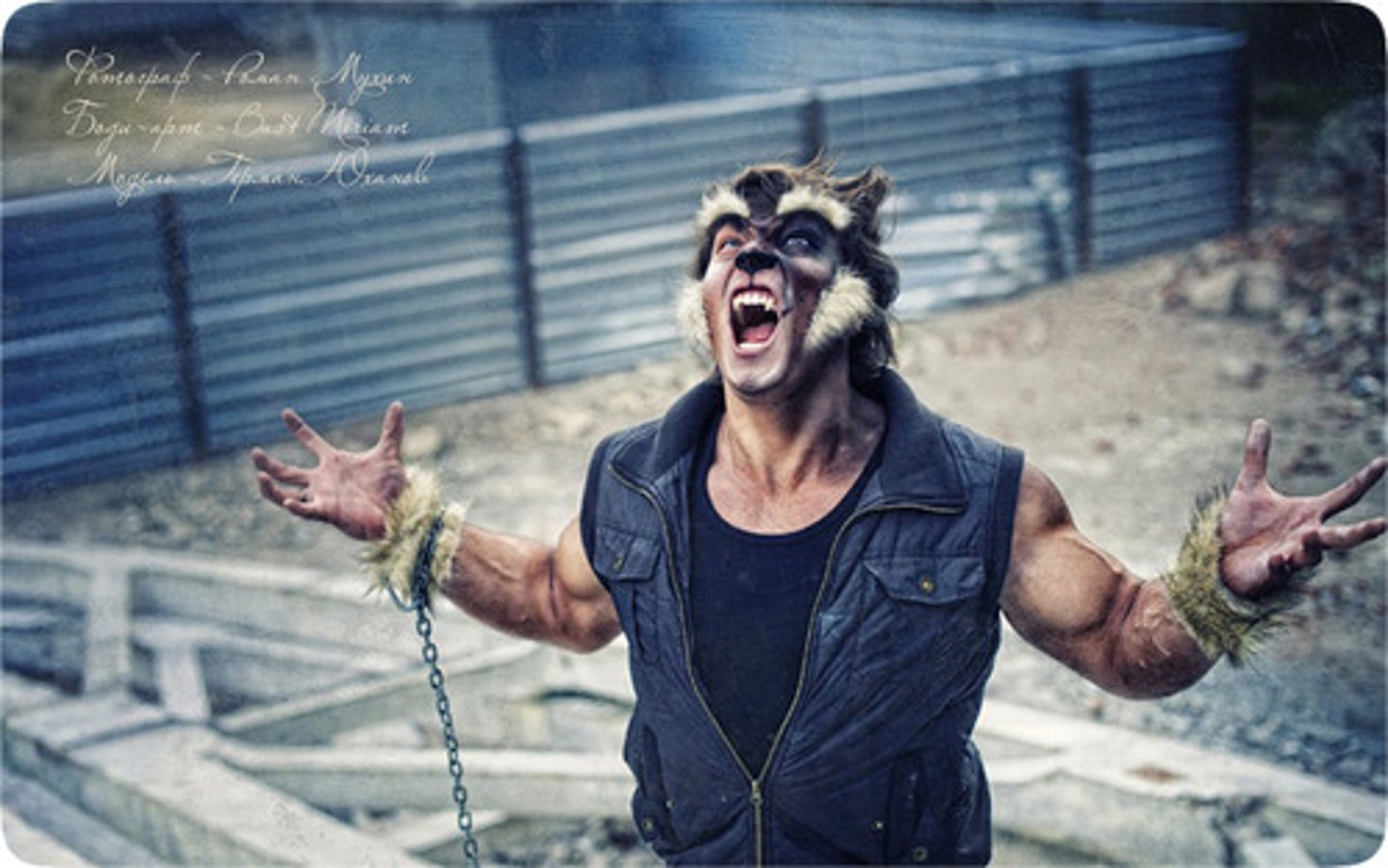 <p>to undergo a noticeable change (in character for example), to metamorphose</p><p>A werewolf is a mythological or folkloric human with the ability to ~ into a wolf</p>