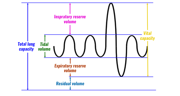 <p>A device used to measure the volume of air inspired and expired by lungs</p>