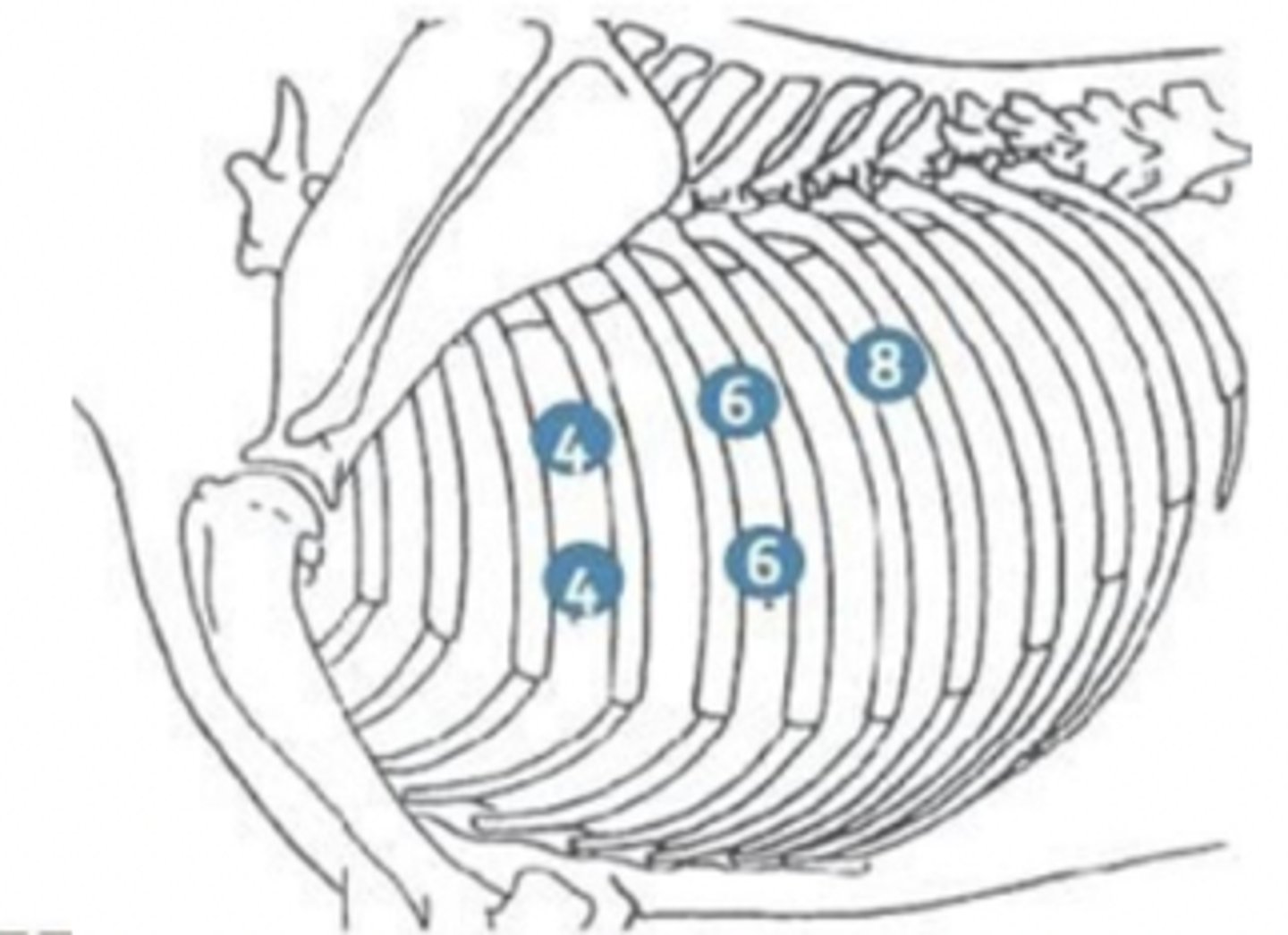 <p>what does this represent ?</p>