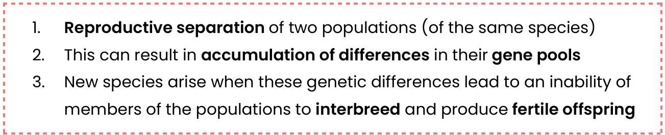 <p>When an existing species gives rise to two or more new species.</p><p>The process whereby one gene pool gives rise to more than one gene pool.</p>