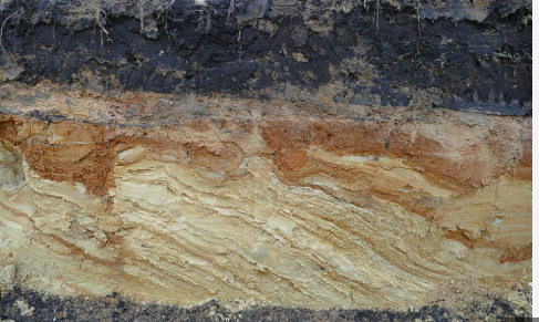 <p>Welke evolutie van de aardlagen zie je?</p><p></p>