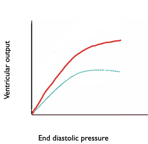 <p>link between stretching muscle and the force of contraction</p><ul><li><p>Observation that as pre-load increases (more stretching), ventricular output also increases (greater force of contraction)</p></li><li><p>In heart failure, impaired contractile function means that even higher preload (more stretching) cannot increase ventricular output (force of contraction) to the same extent</p></li></ul><p></p>