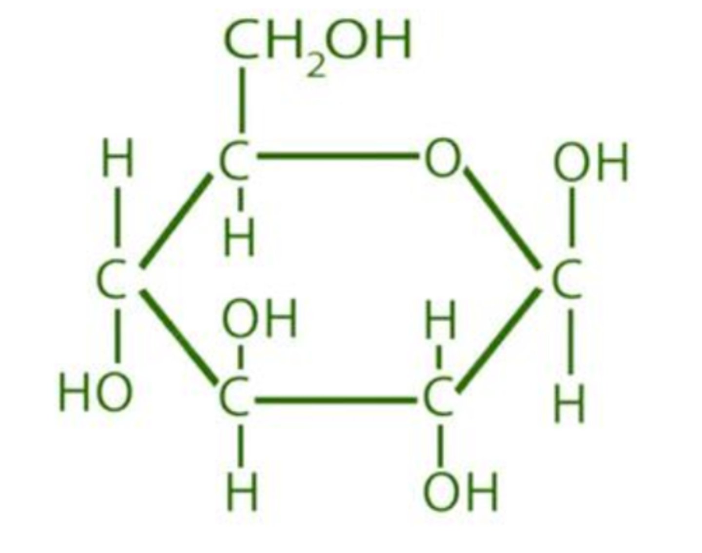 <p>sugar molecule made of: 6 Carbons, 12 Hydrogens, and 6 Oxygens</p><p>Glucose = stored chemical energy</p>