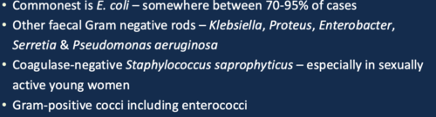 <p>e.coli</p>