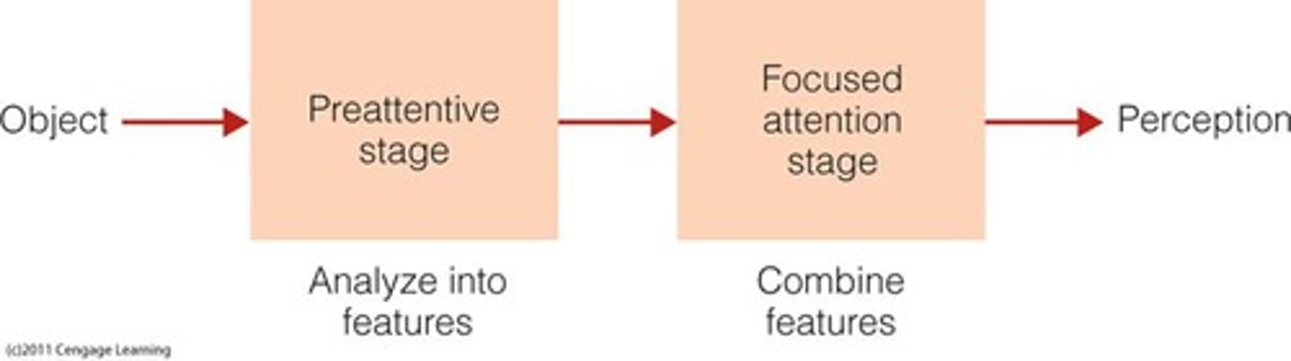 <p>According to Anne Treisman, this theory tells us that we sometimes look at a scene using distributed attention, and we process all parts of the scene at the same time; on other occasions, we use focused attention, and we process each item in the scene one at a time</p>