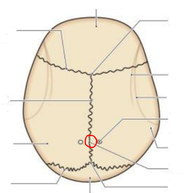 <p></p>