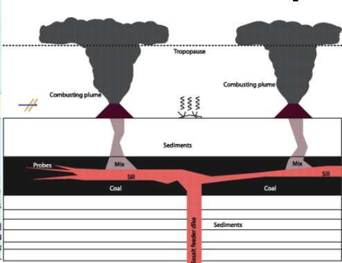 <p>This was the largest volcanic eruption in geologic record that occurred almost exactly at the Permian-Triassic boundary. It covered an area half the size of the continental United States. </p><p>This created a massive flood basalt province. This is related to the emplacement of the mantle plume at the base of the crust. Sills are believed to have intruded into thick coal deposits, which results in the coal deposits warming up, CO2 is released, rapid warming occurs which then gets absorbed by the ocean, resulting in increased acidity dissolving calcium carbonates.</p><p>volcanic ash/dust can also decrease solar energy on Earth, resulting in cooling of the earth </p>