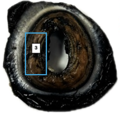 <p>What is this highlighted figure?</p>