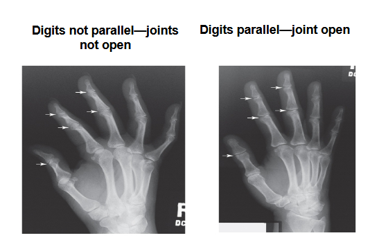 <p>What does this image show</p>