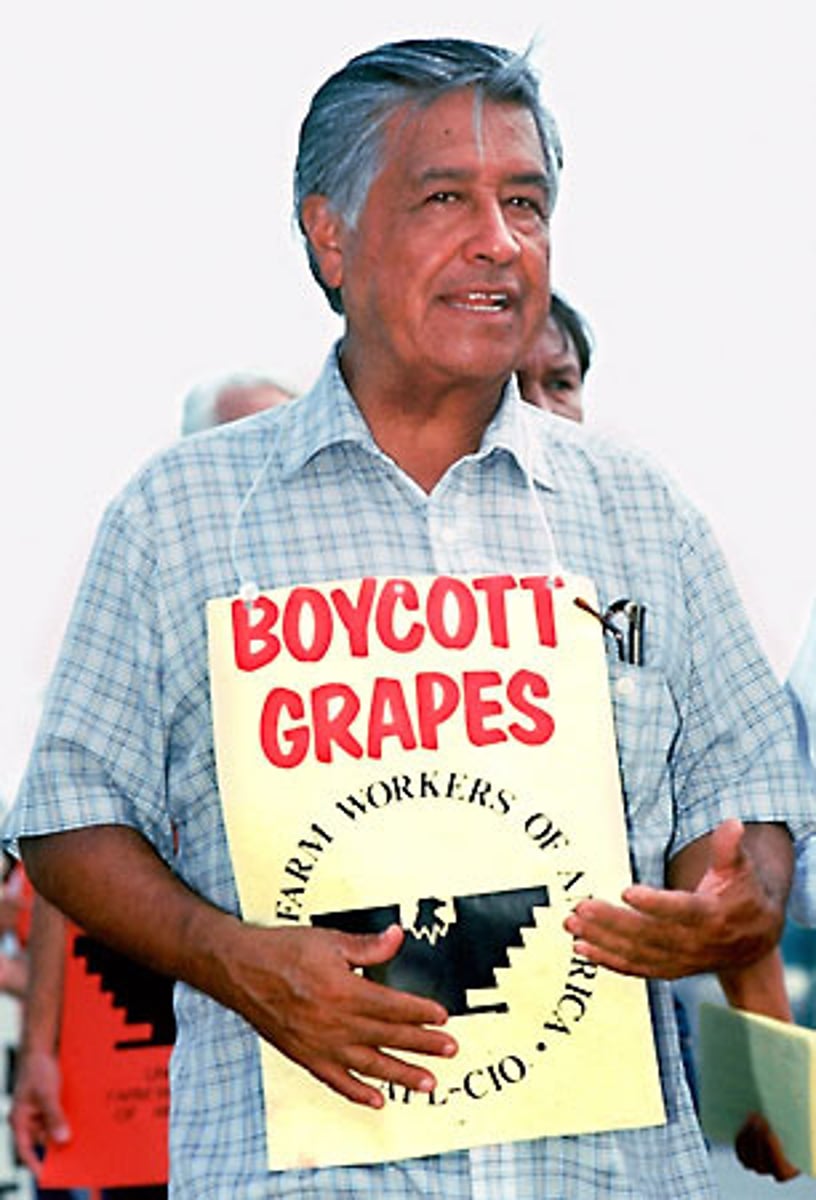 <p>1927-1993. Farm worker, labor leader, and civil-rights activist who helped form the National Farm Workers Association, later the United Farm Workers.</p>