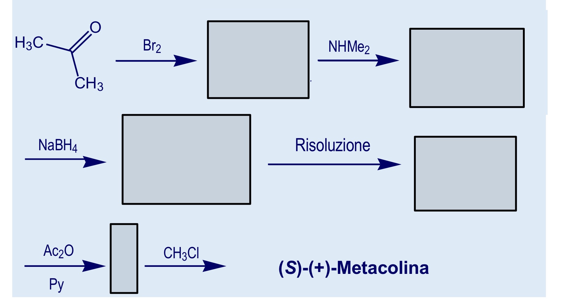 <p>Sintesi metacolina</p>
