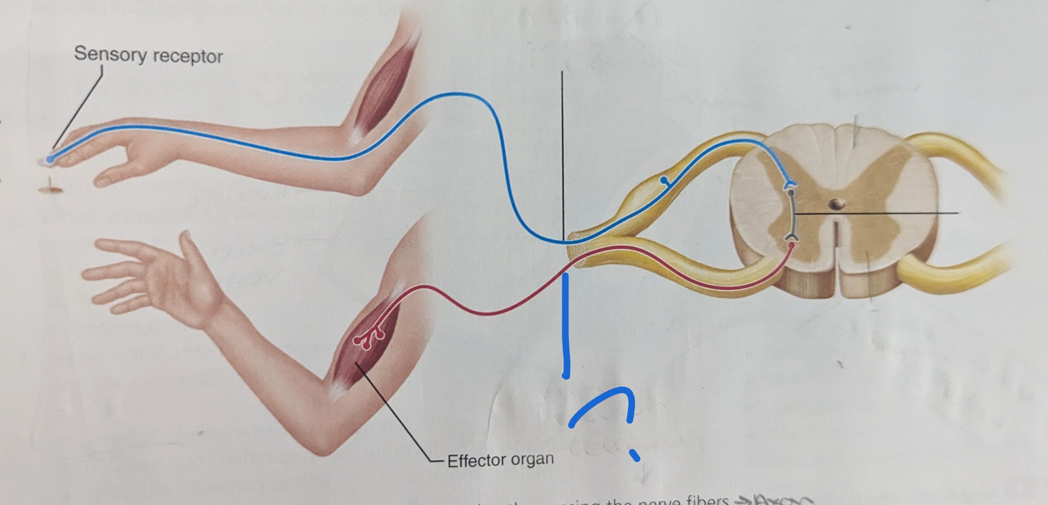 <p>What is the name of this?</p>