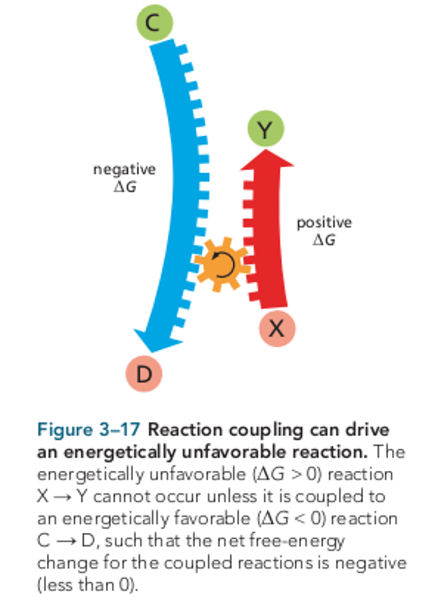 <p>unless it is coupled to an energetically favorable reaction, such that the net free-energy change for the pair of reactions is negative.</p>