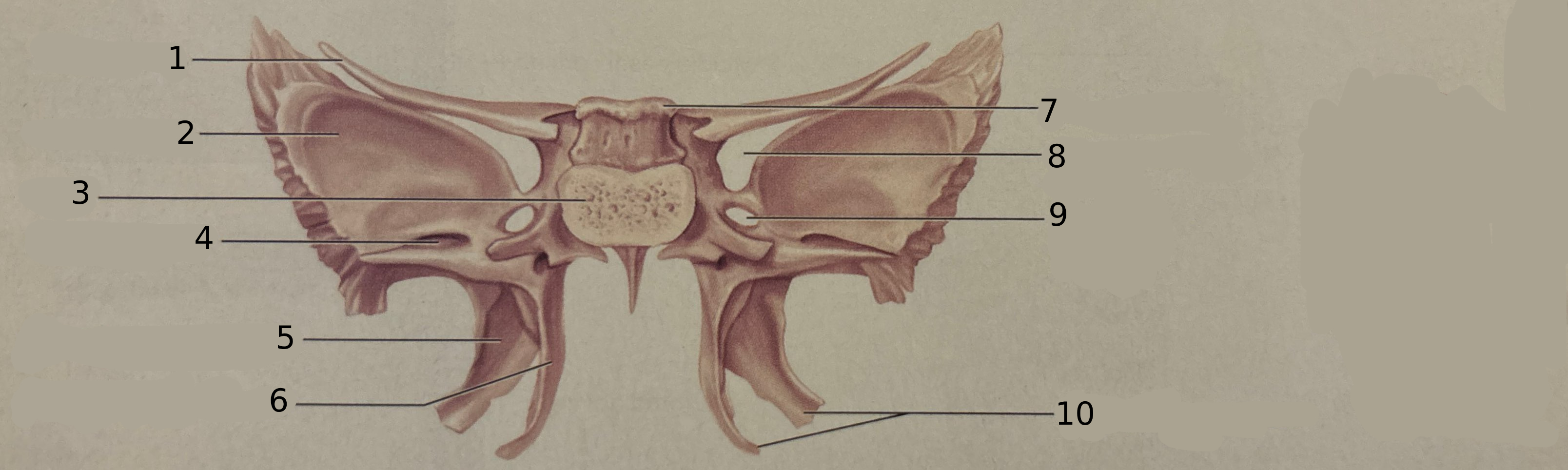 <p>What view of the bone is this?</p>