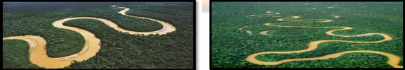 <p>Series of regular sinuous curves, bends, loops, turns, or windings in the channel of a river, stream, or other watercourses. It is produced by a stream or river swinging from side to side as it flows across its floodplain or shifts its channel within a valley.</p>