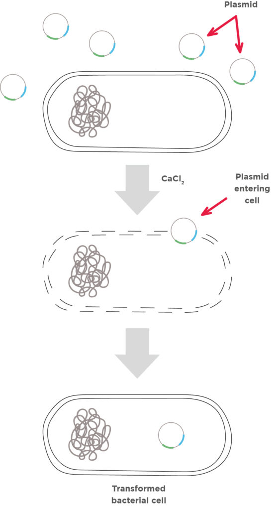 <p>What is this process?</p>