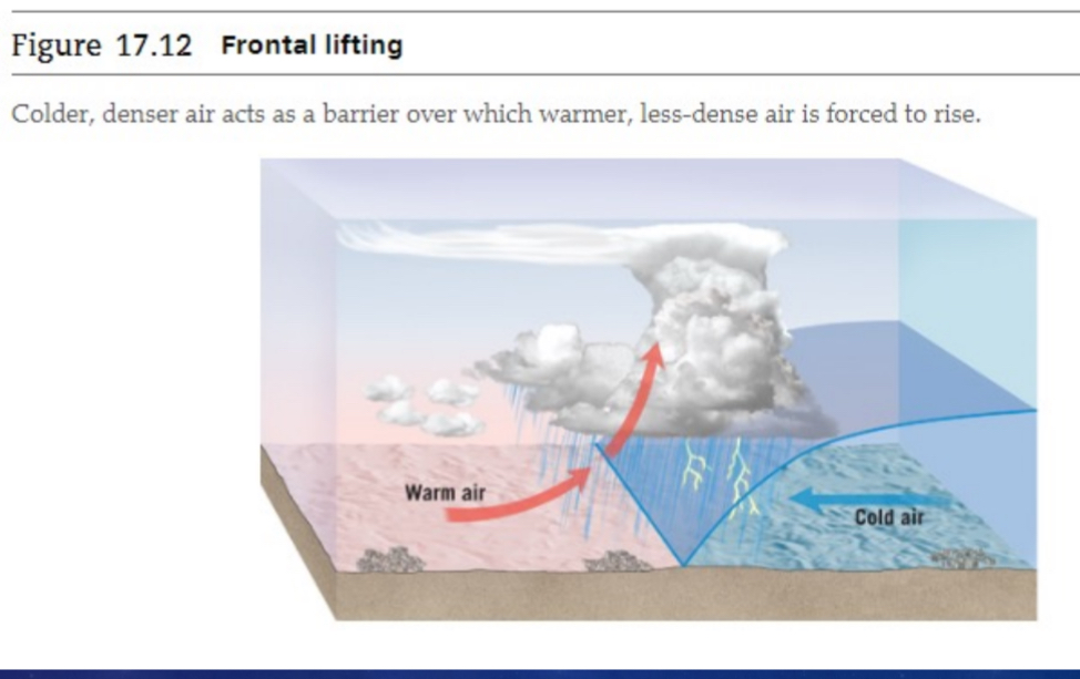 <p>Frontal lifting</p>
