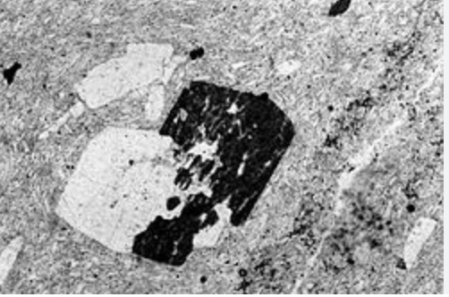 <p><mark data-color="#ffffff" style="background-color: #ffffff; color: inherit">a large, conspicuous crystal embedded in a finer-grained matrix or groundmass of an igneous rock, giving it a porphyritic texture</mark></p>