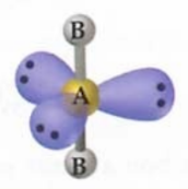 <ul><li><p>AB<sub>2</sub>E<sub>3</sub></p></li><li><p>5 electron domains</p></li><li><p>3 lone pairs</p></li><li><p>180 degrees (equatorial-equatorial)</p></li><li><p>Electron domain geometry: </p></li></ul>